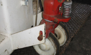 Stertil-Koni